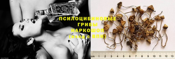 бошки Михайлов