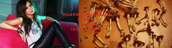 бошки Михайлов